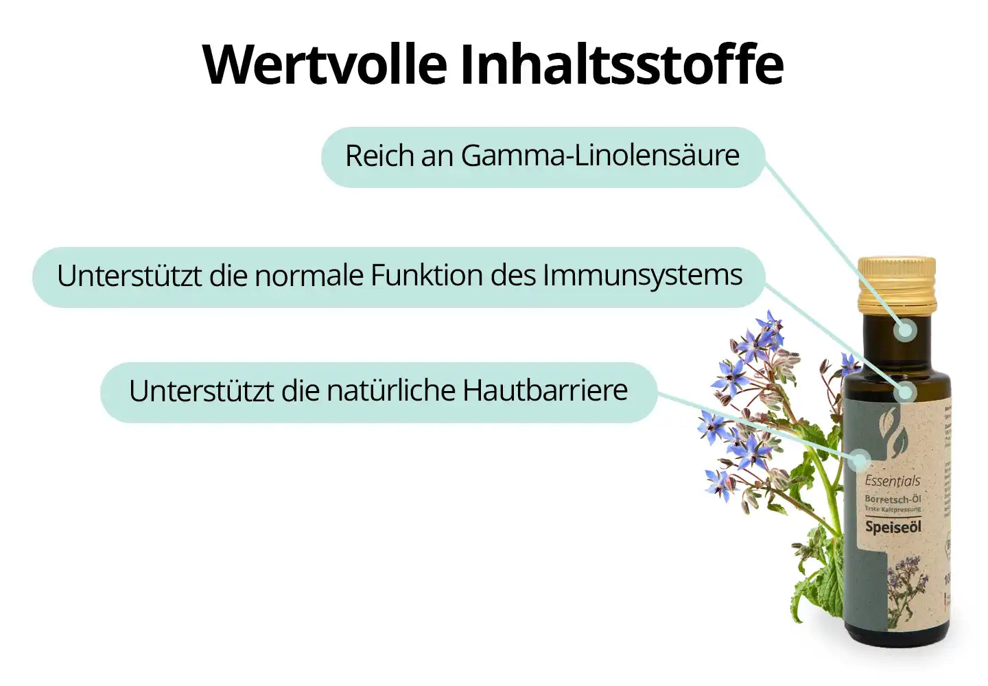 Borretsch-Öl