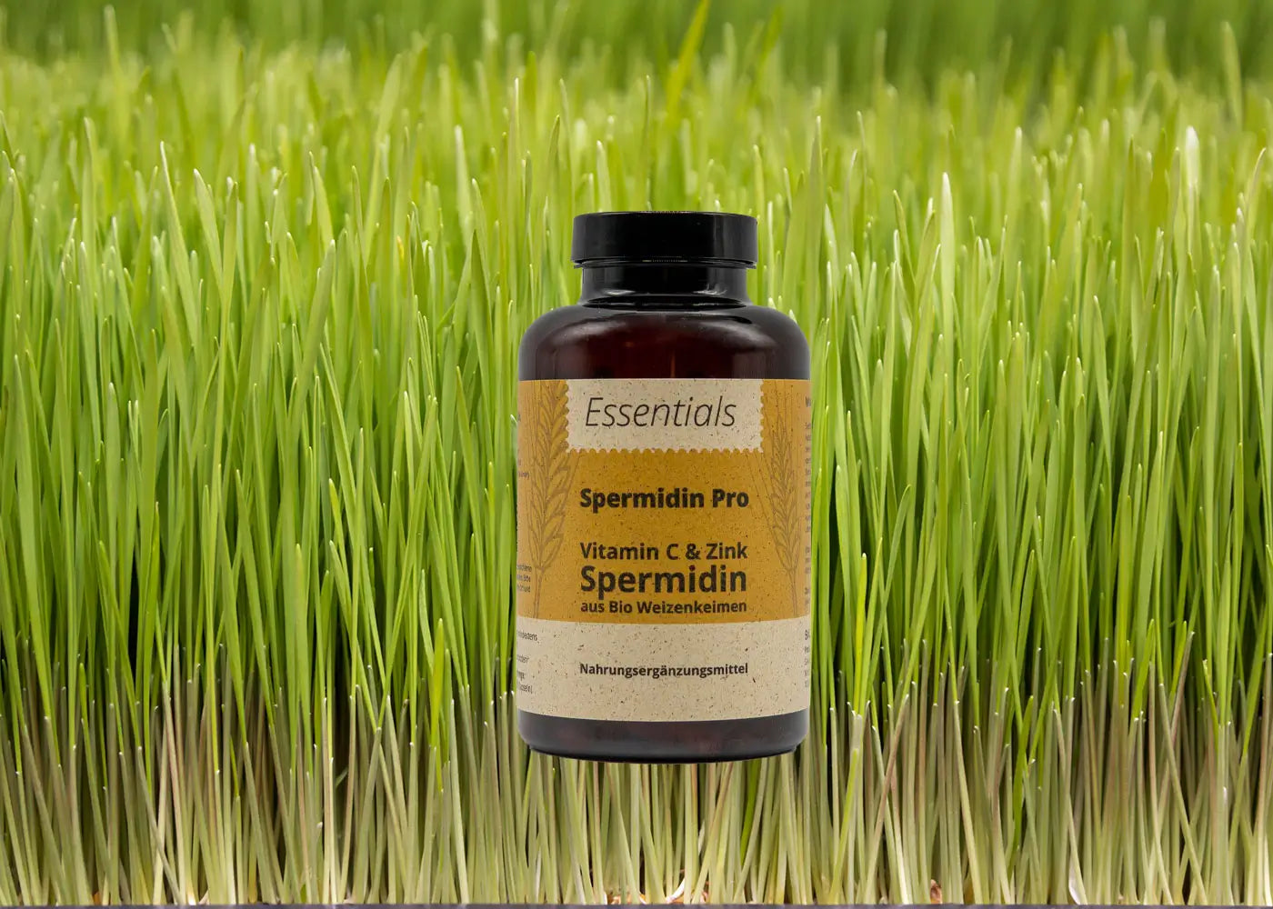 Spermidin Pro Kapseln mit Vitamin C & Zink