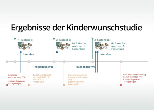 Studie: Wie unsere Fastenbox Männer mit Kinderwunsch unterstützen kann