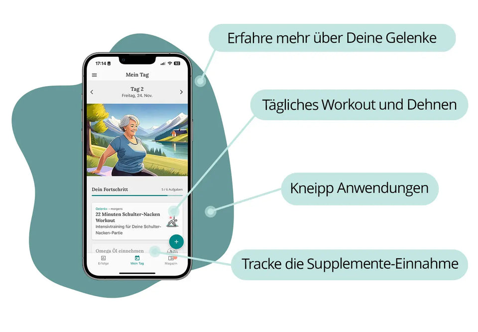 Gelenk+ Box - 14-Tage Intensivkur