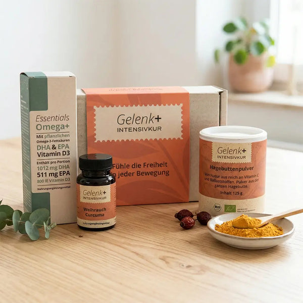 Gelenk+ Box - 14-Tage Intensivkur