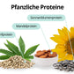 Bio Proteinshake – Pflanzliche Power für Deinen Alltag