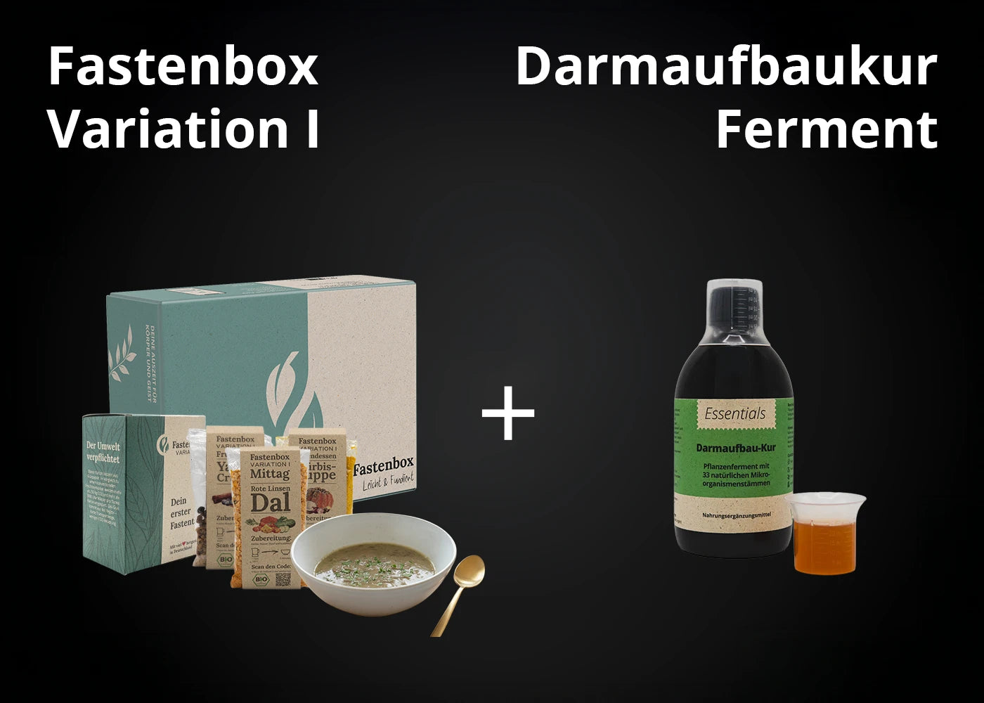 Angebot: Fastenbox + Darmaufbaukur
